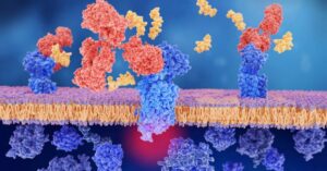 Peptidek a bőrápolásban: a fiatalabb és egészségesebb bőrért